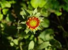 DSCN0523