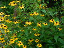 DSCN0544