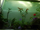 DSCN0546