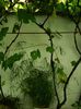 DSCN0547