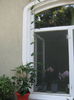 Picture My plants 558