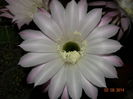DSC06256