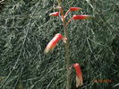 DSC06619