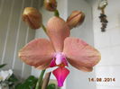 DSCN6059