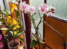 DSCF2046
