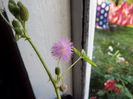 DSCF2063