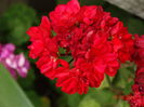 DSC06396