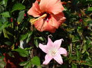 DSC06501