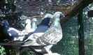 IMG_20140814_093633