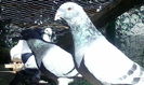 IMG_20140814_093612