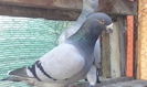 IMG_20140814_093601