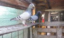 IMG_20140814_093547