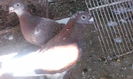 IMG_20140814_092706