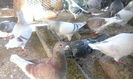 IMG_20140814_092514