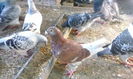 IMG_20140814_092312