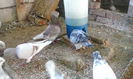 IMG_20140814_092253