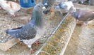 IMG_20140814_092204