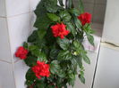 P6290043