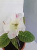 IMG_20140815_095947