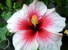 Picture 044