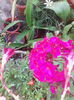 IMG_20140815_100735