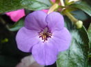P1070324