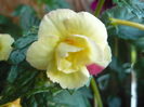 P1070338