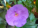 P1070348
