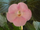 P1070351