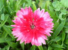 DSC00691