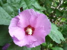 DSC00701