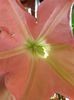 20140803_082912