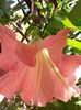20140803_082920