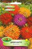Seminte de flori carciumareasa cactus gigant - 3 lei