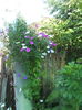 DSCN6801