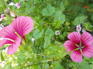DSCN6813