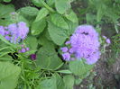 DSCN6819