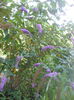 DSCN6824