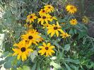 DSCN6841