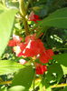 DSCN6845