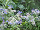 DSCN6856