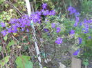 DSCN6862