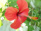 DSCN6881