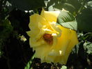 DSCN6834