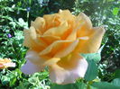 DSCN6835
