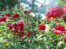 DSCN6843