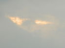 DSCN9120