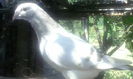 IMG_20140816_113839