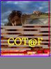 cot@f- club al oamenilor de teatru si film