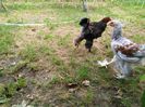 IMG_20140816_142736